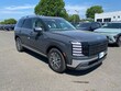  Hyundai Palisade Hybrid