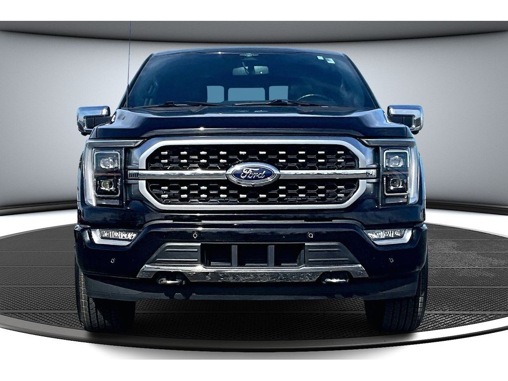 2023 Ford F-150 Platinum photo 3