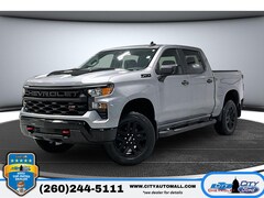 2023 Chevrolet Silverado 1500 Custom Trail Boss Crew Cab