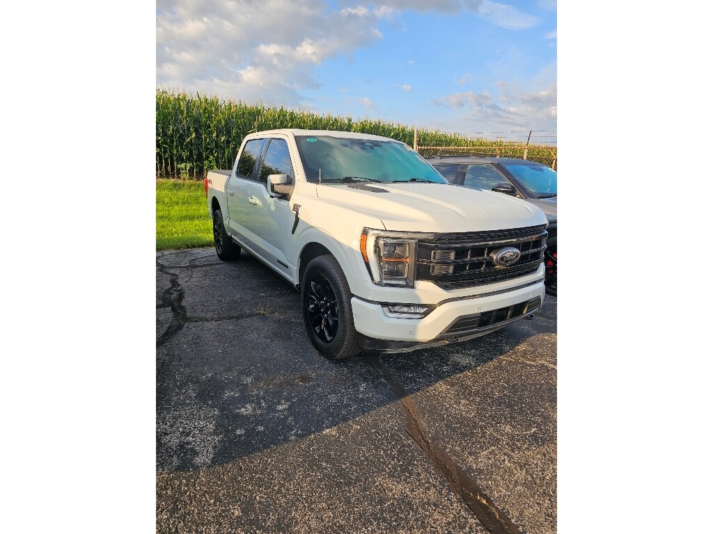 Used 2023 Ford F-150 Platinum Crew Cab