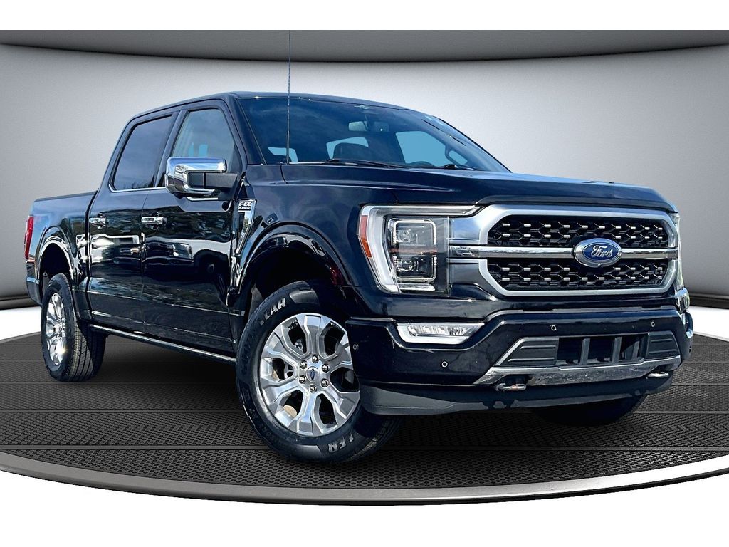 2023 Ford F-150 Platinum photo 2