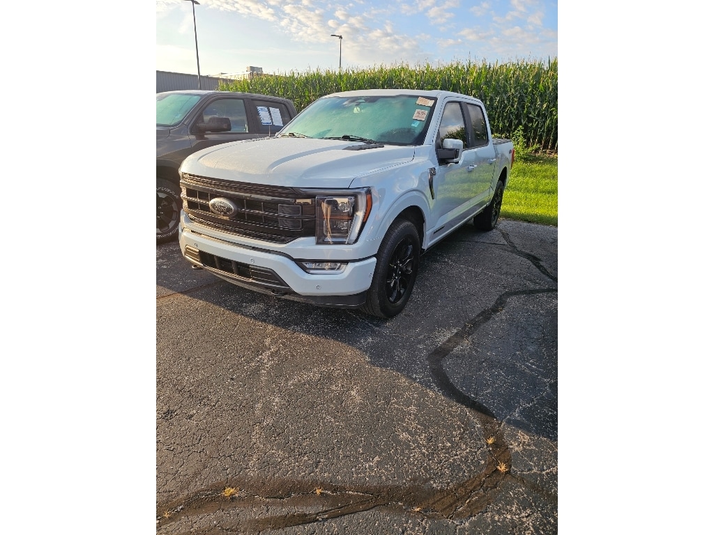 Used 2023 Ford F-150 Platinum Crew Cab