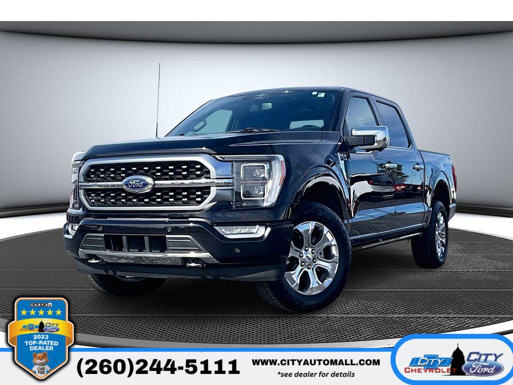 2023 Ford F-150 Platinum's photo