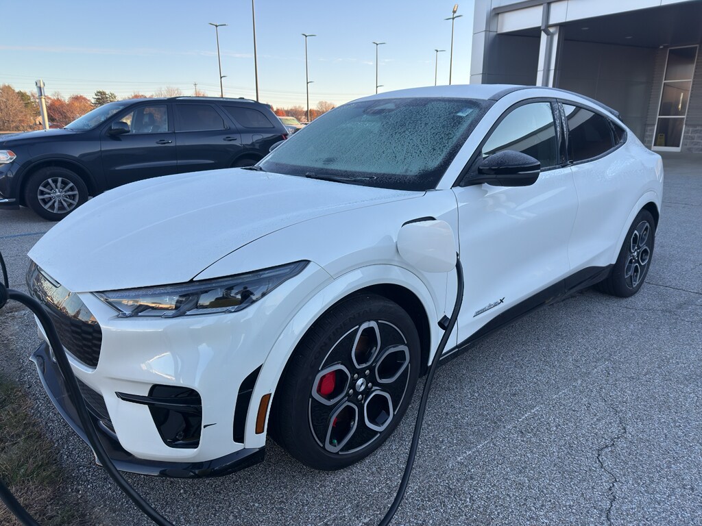 2021 Ford Mustang Mach-E GT photo 3