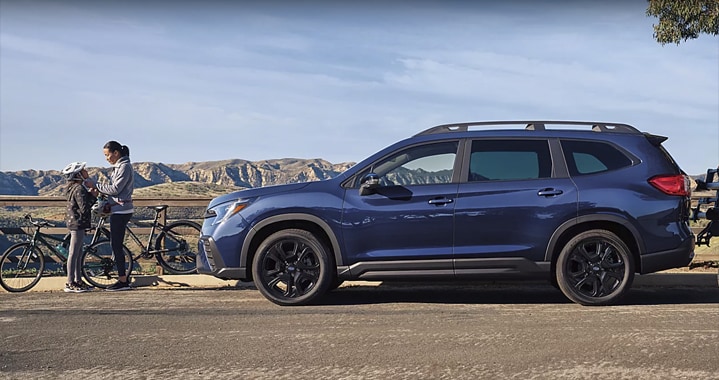 Updated Stylish Accents