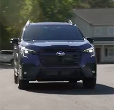 ascent onyx editions