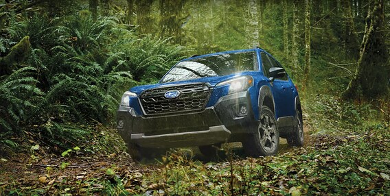 Introducing the 2023 Subaru Forester