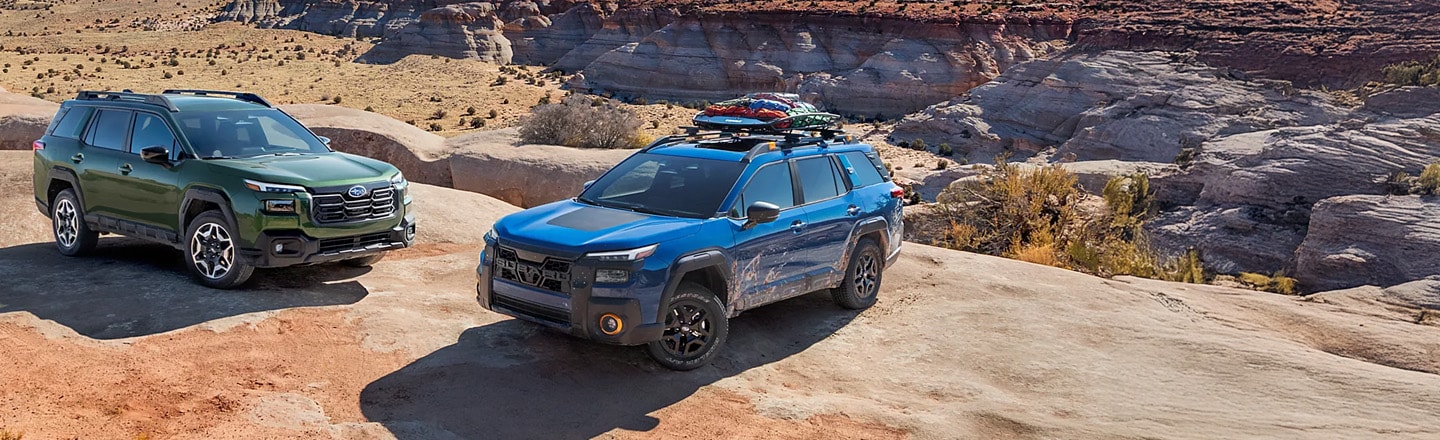 Adventure favors the bold.