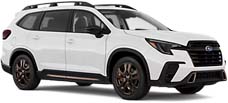 limited bronze edition 7-passenger