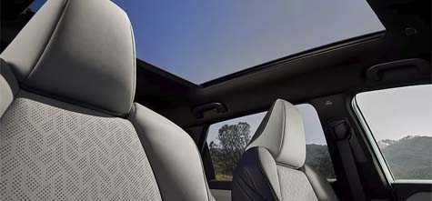 panoramic fixed glass roof