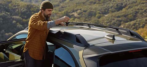 standard raised roof rails with tie-downs