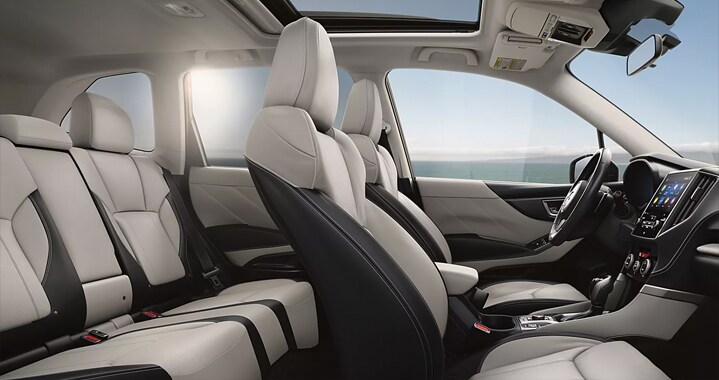 comfortable and connected