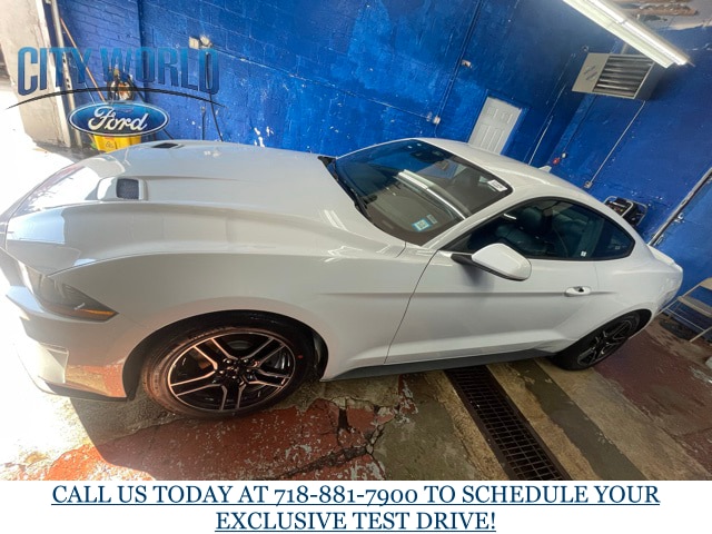 Certified 2022 Ford Mustang EcoBoost Premium with VIN 1FA6P8TH1N5101683 for sale in Bronx, NY