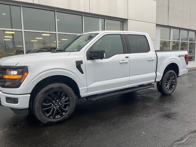 2025 Ford F-150 XLT's photo