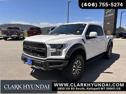 2020 Ford F-150 Raptor Truck