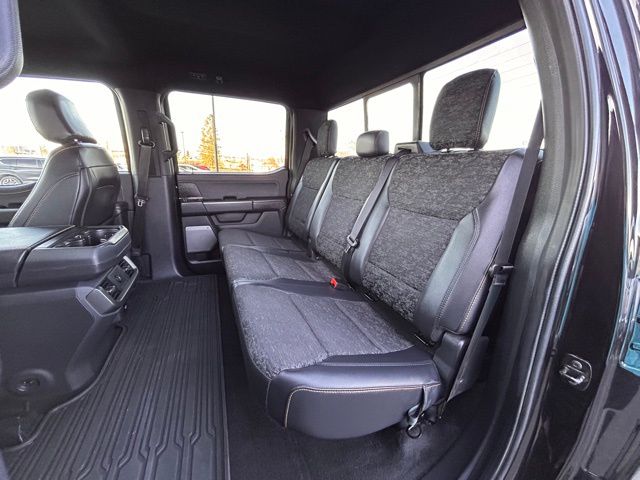 2025 Ford F-150 Tremor - Photo 50