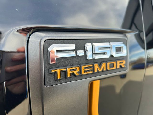 2025 Ford F-150 Tremor - Photo 10