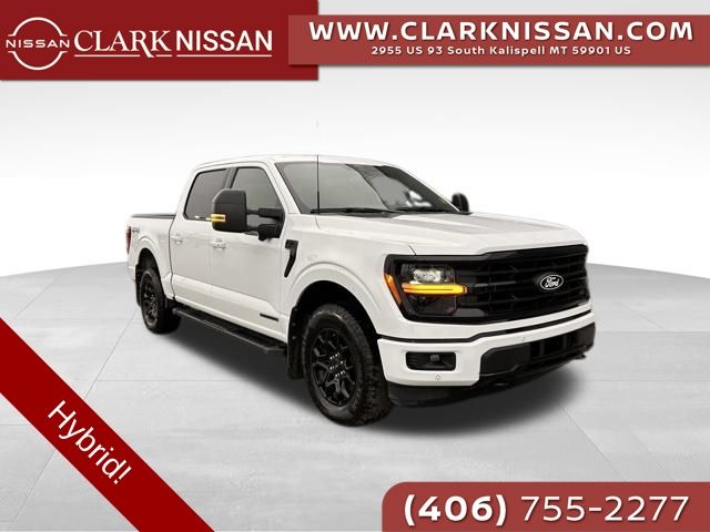 2024 Ford F-150 XLT's photo