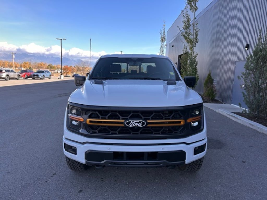 Used 2024 Ford F-150 Tremor Truck