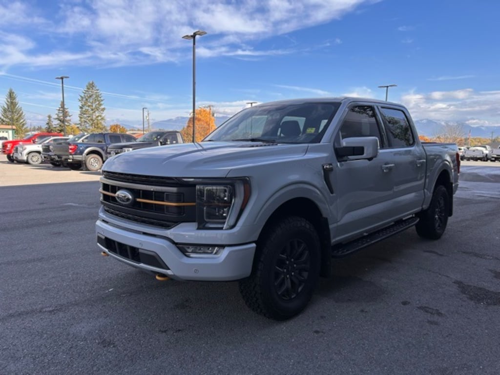 Used 2023 Ford F-150 Tremor Truck