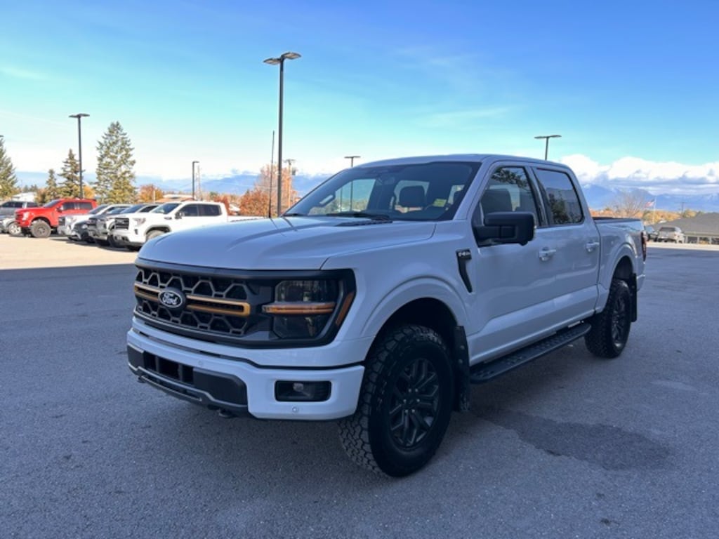 Used 2024 Ford F-150 Tremor Truck