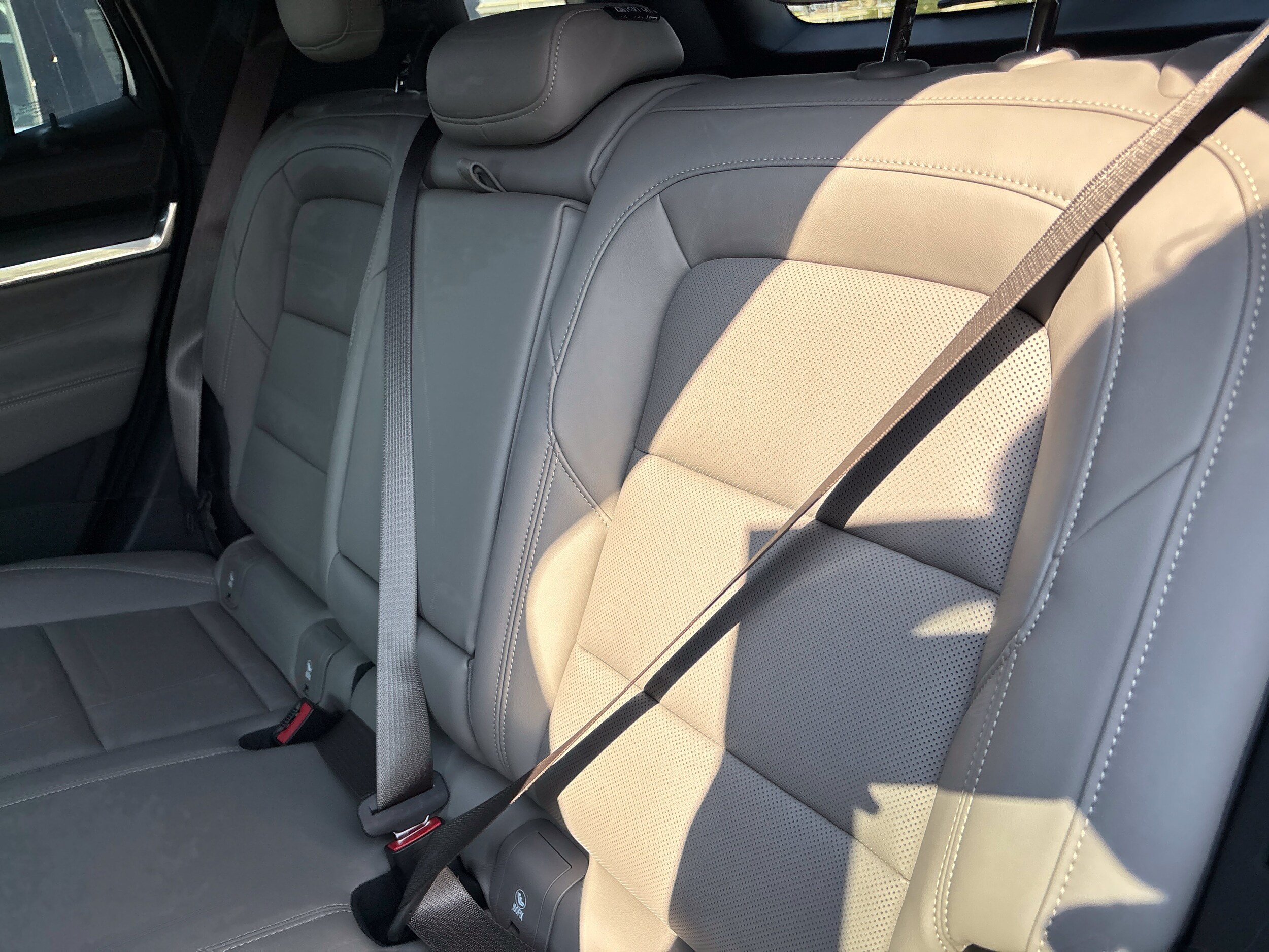 2026 GMC Terrain Elevation - Photo 36