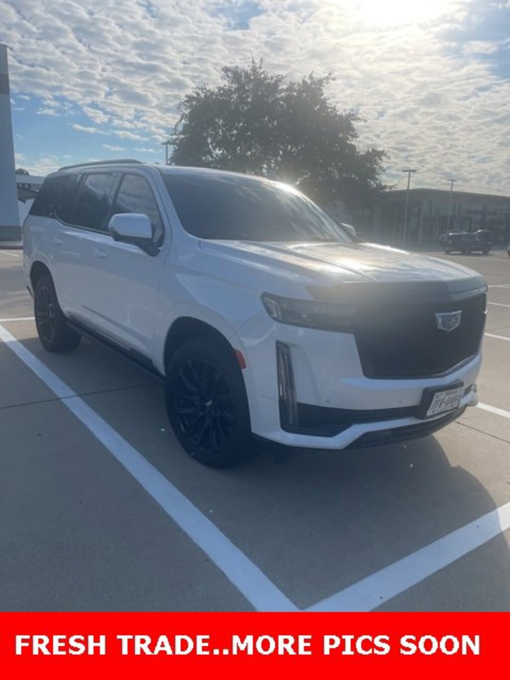 Used 2021 CADILLAC Escalade Sport Platinum SUV