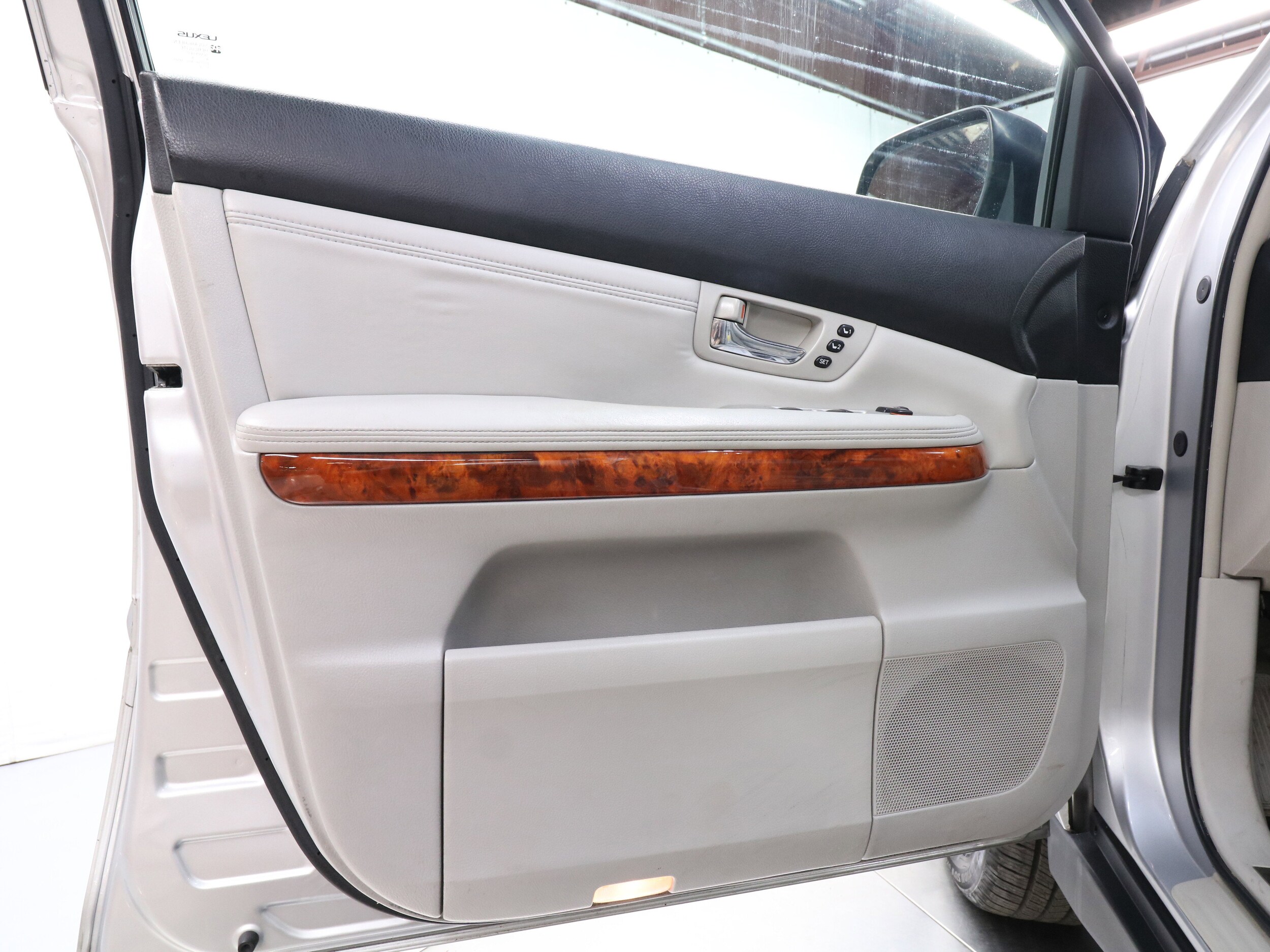 2009 Lexus RX 350 20