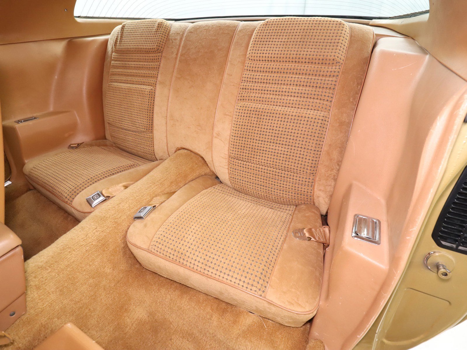 1979 Pontiac Trans Am 17