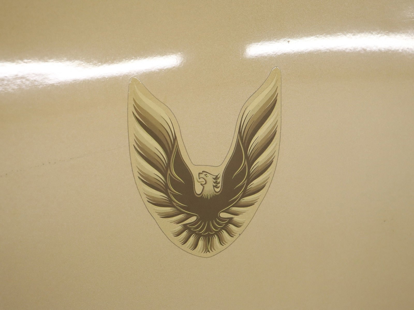 1979 Pontiac Trans Am 68
