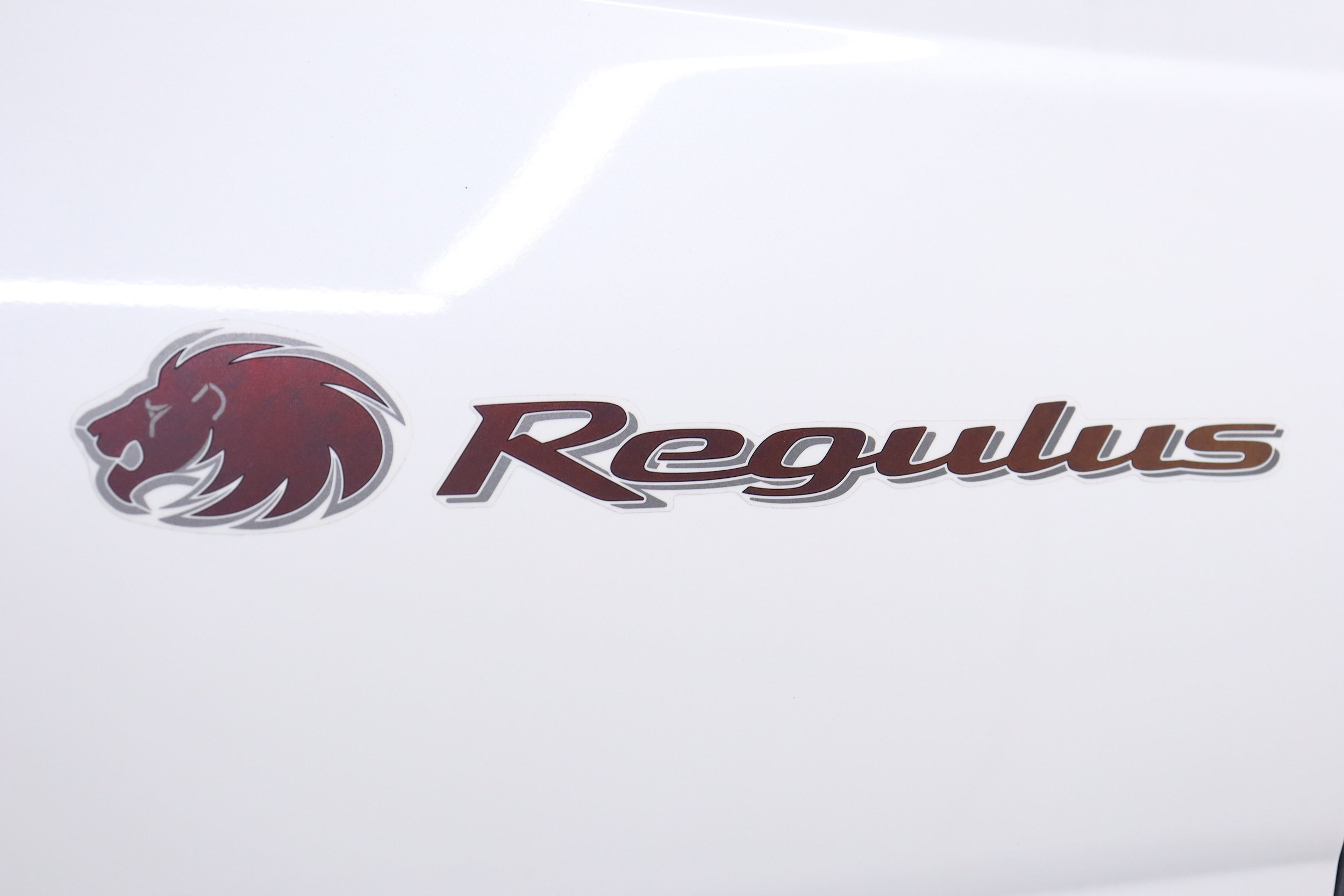 1999 Nissan Terrano Regulus 61