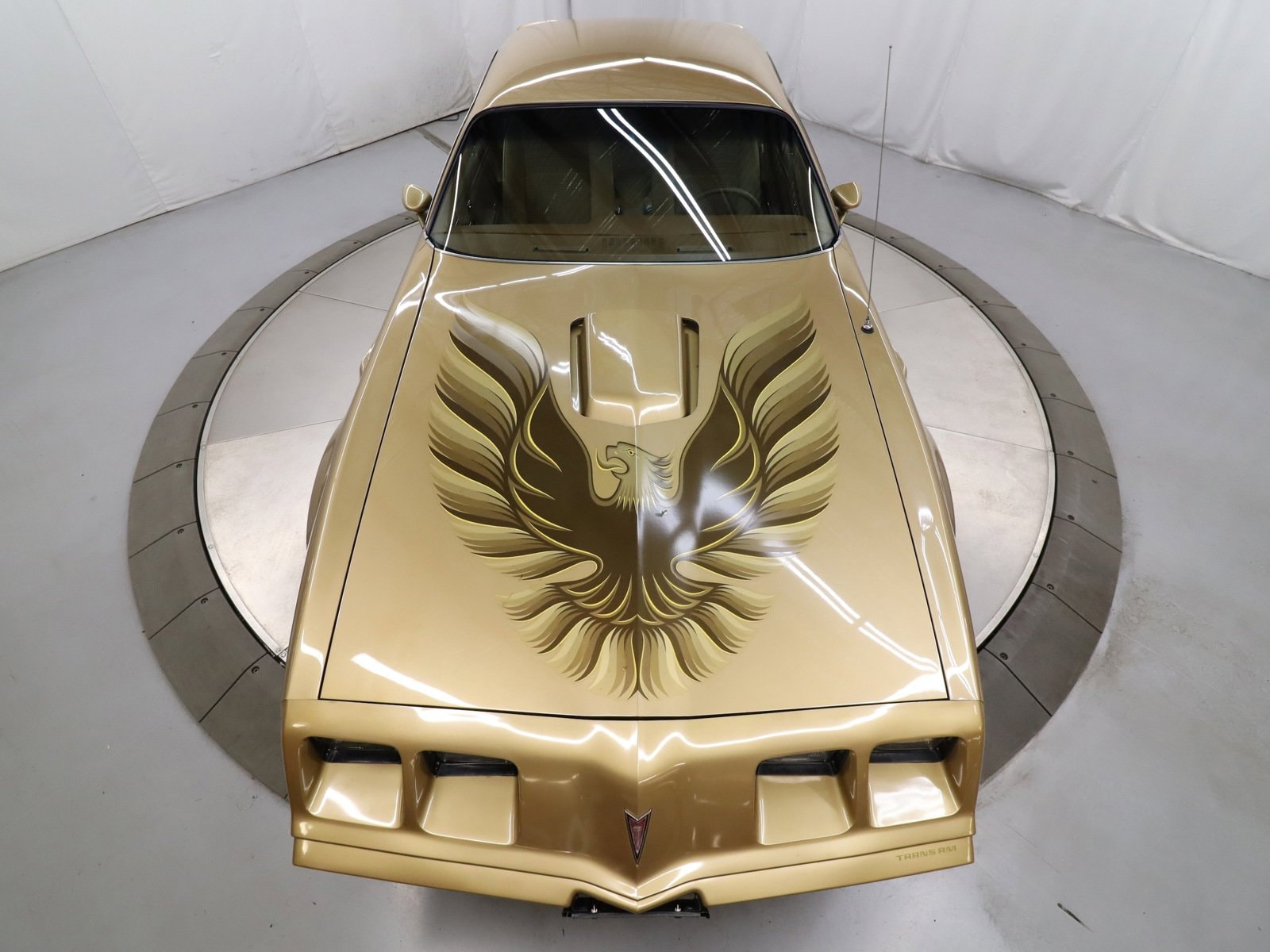 1979 Pontiac Trans Am 44