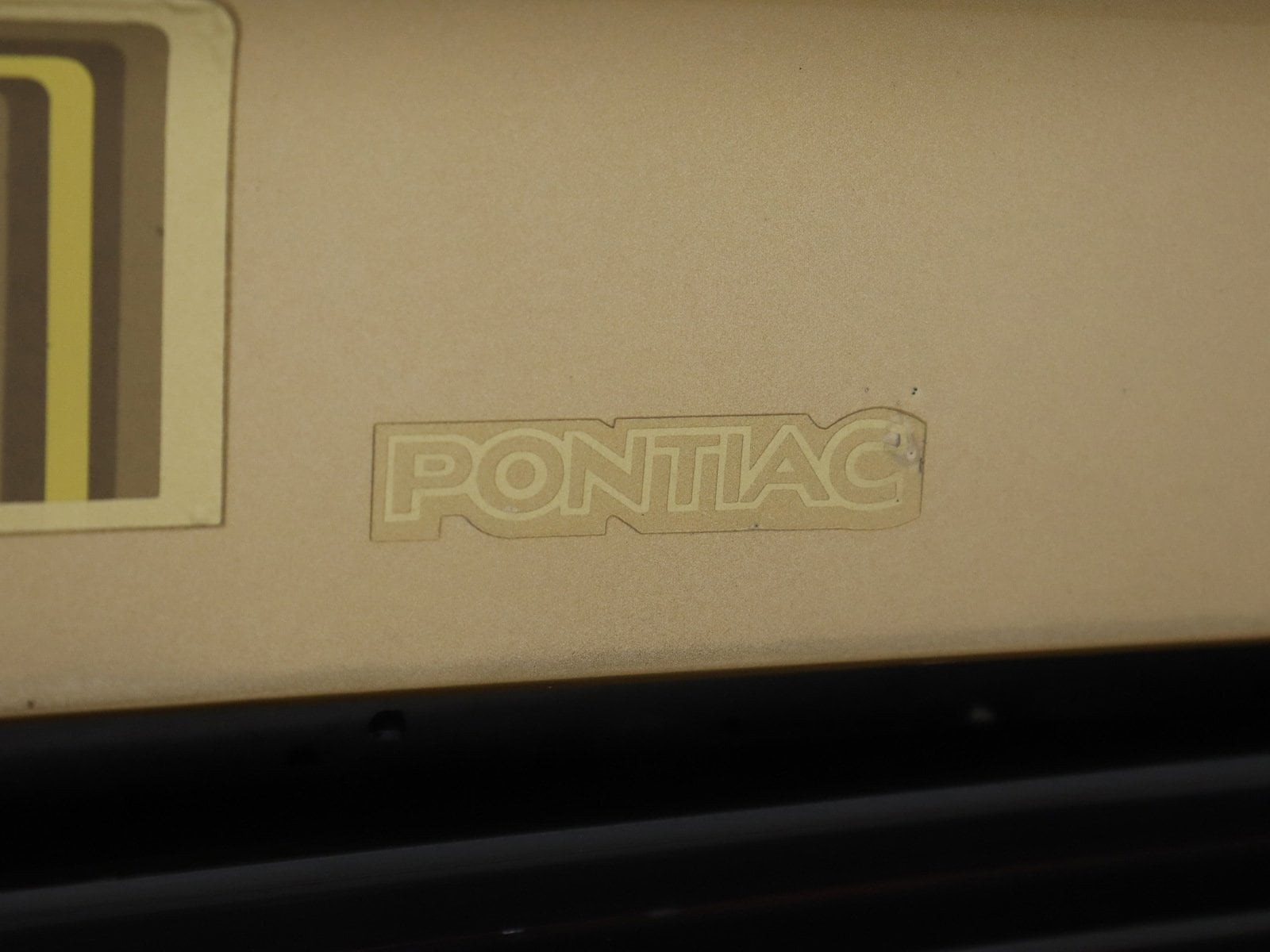 1979 Pontiac Trans Am 63