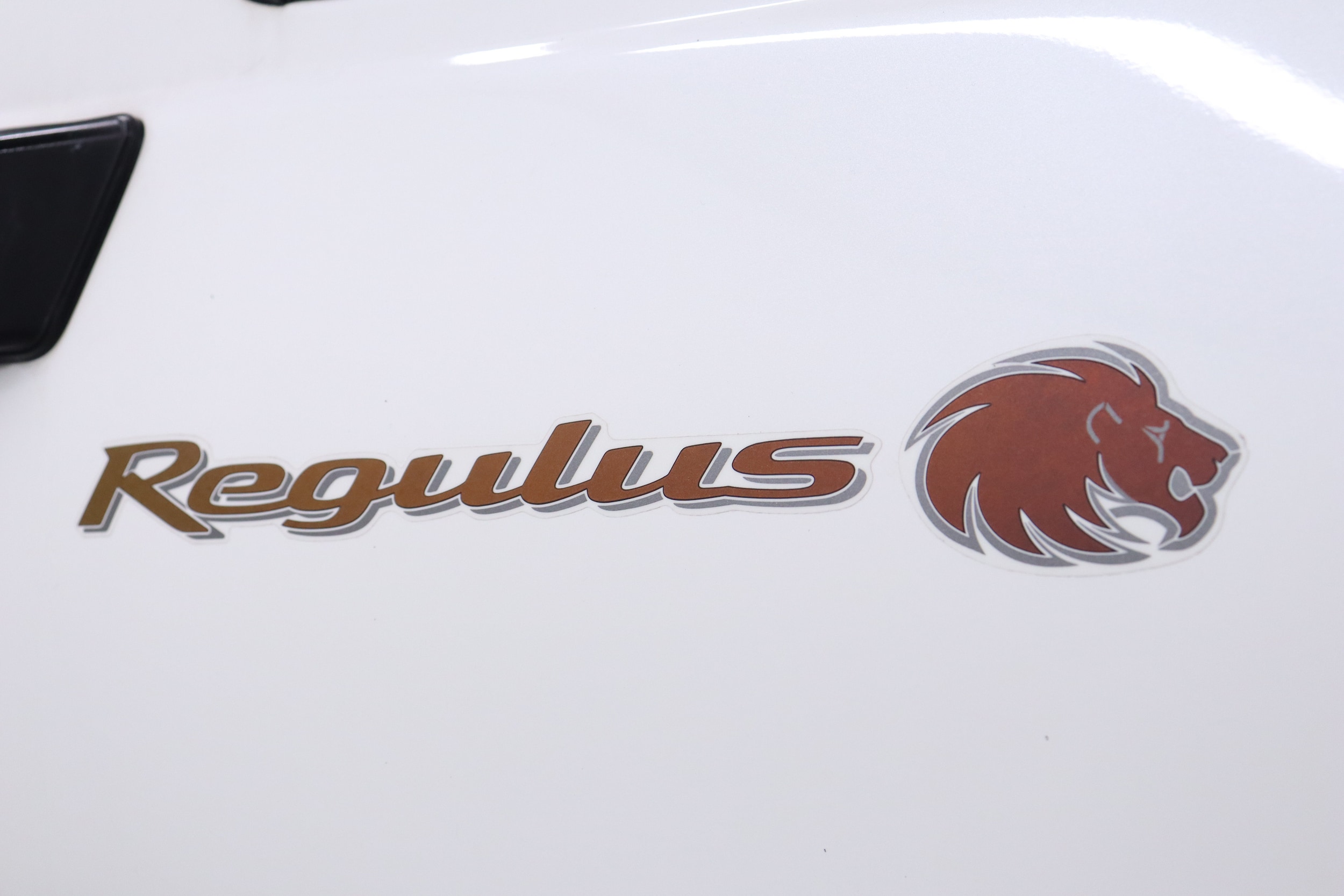 1999 Nissan Terrano Regulus 62