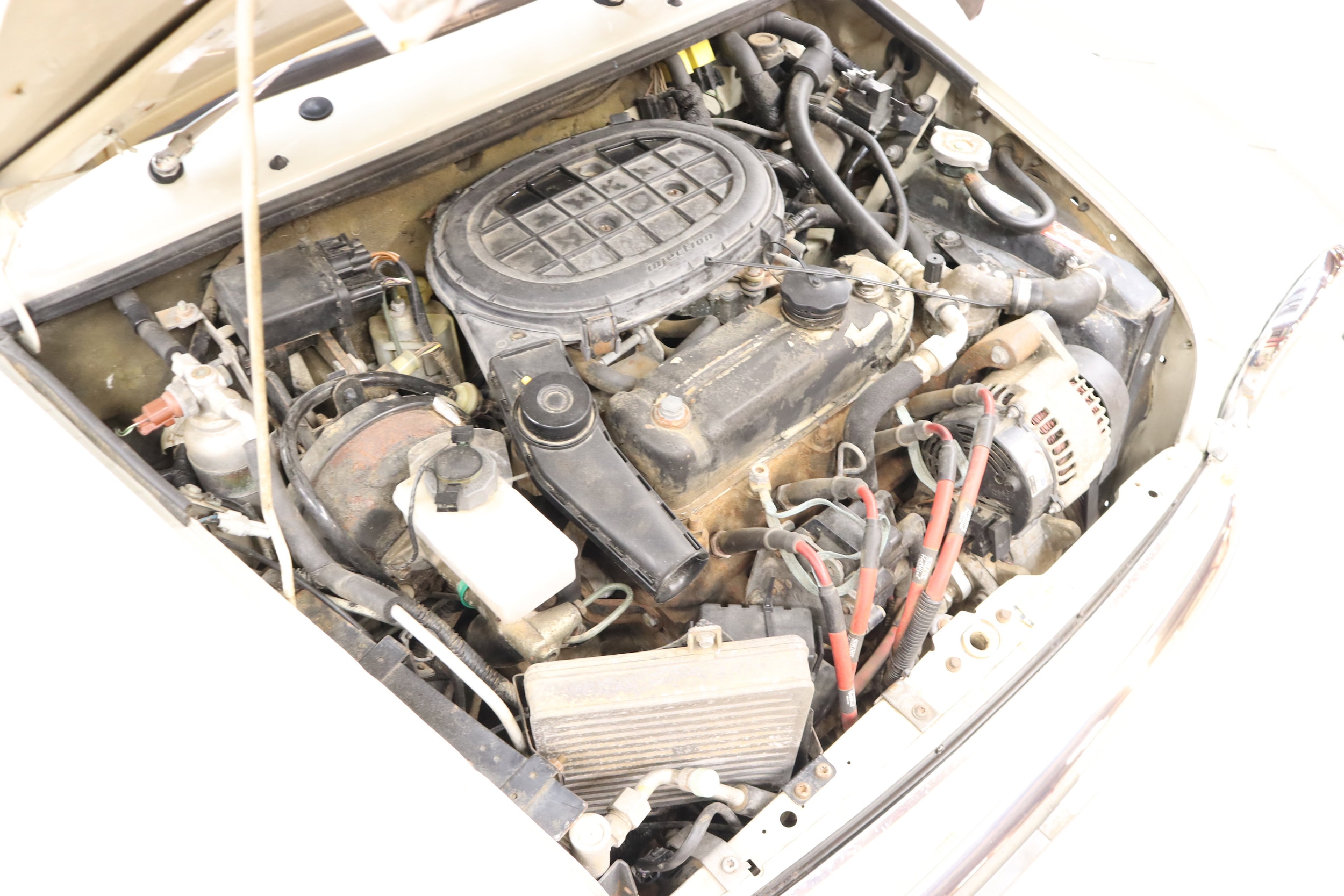 1999 Rover Mini 24