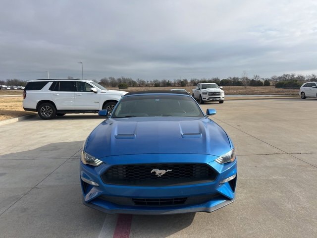 Used 2019 Ford Mustang EcoBoost Premium with VIN 1FATP8UH8K5105968 for sale in Cleburne, TX