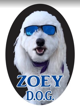 Staff member Zoey Zorn from ID_a72e57c54d9c