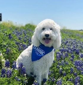 Staff member Zoey Zorn from ID_a72e57c54d9c