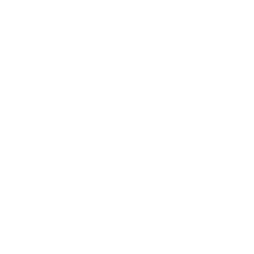 Driver's License Icon