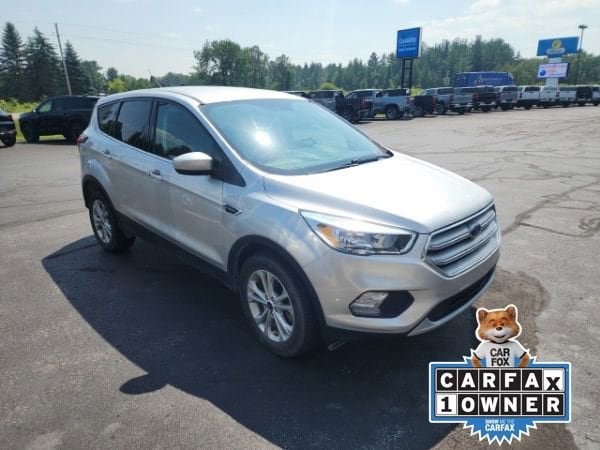 Used 2019 Ford Escape SE with VIN 1FMCU9GD4KUB81089 for sale in Lake City, MI