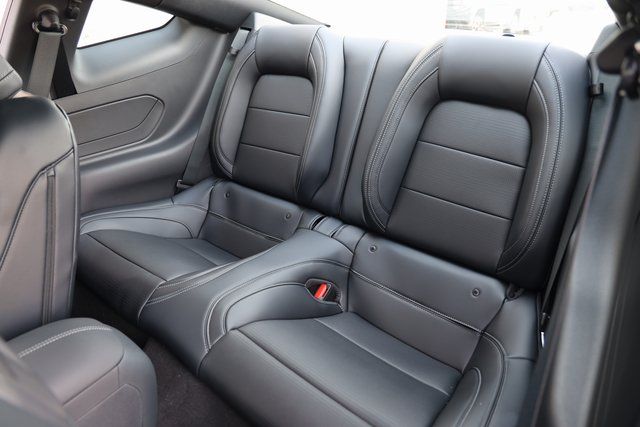 2026 Ford Mustang EcoBoost Premium Fastback - Photo 12