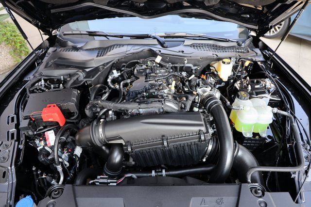 2026 Ford Mustang EcoBoost Fastback - Photo 21