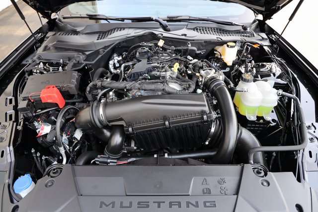 2026 Ford Mustang EcoBoost Premium Fastback - Photo 26