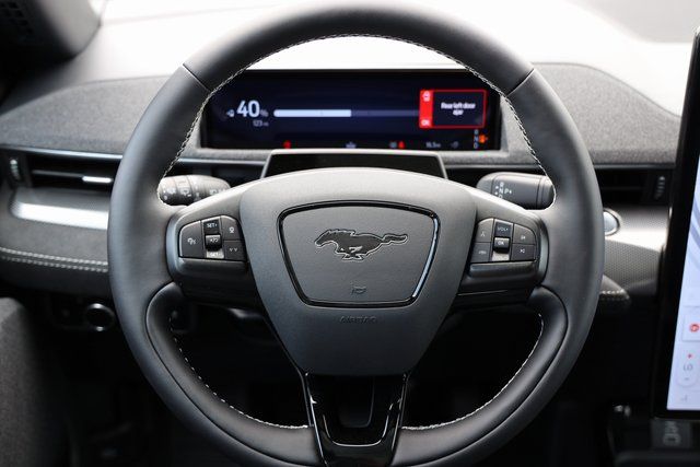 2025 Ford Mustang Mach-E GT - Photo 14