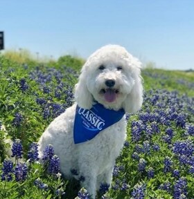 Staff member Zoey Zorn from ID_6b921f