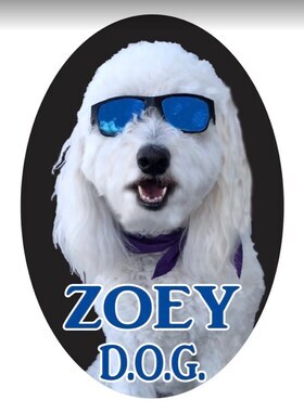 Staff member Zoey Zorn from ID_6b921f