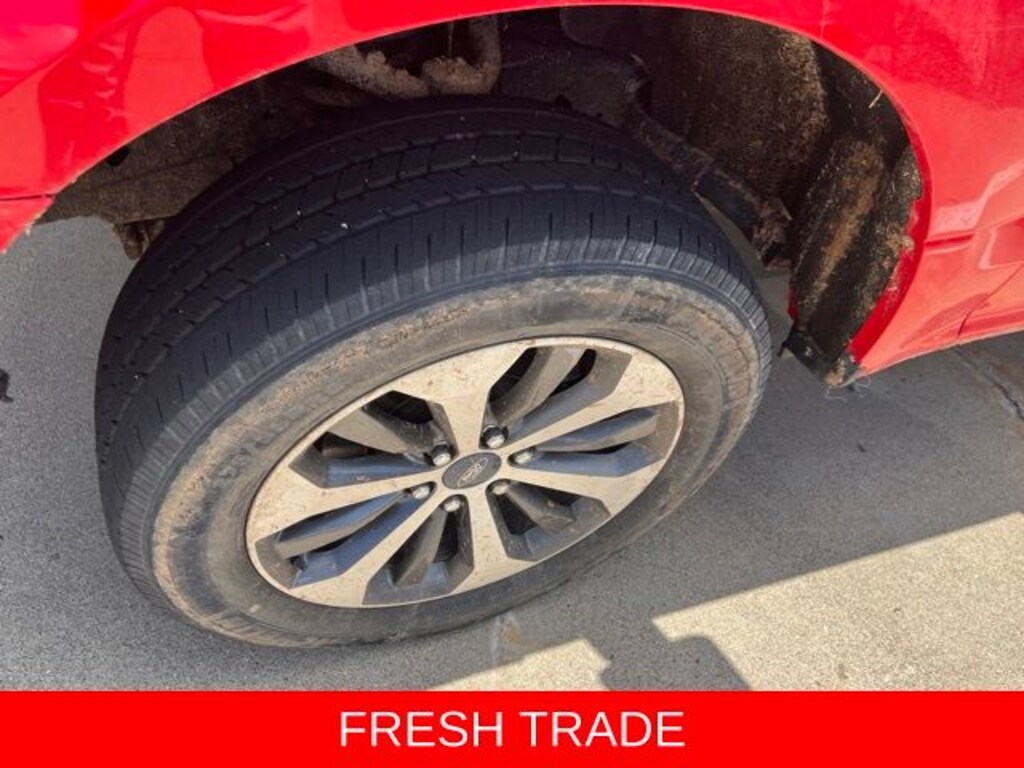 Used 2019 Ford F-150 XL Truck