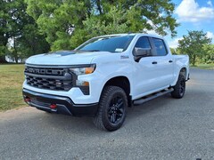 2024 Chevrolet Silverado 1500 Custom Trail Boss Truck