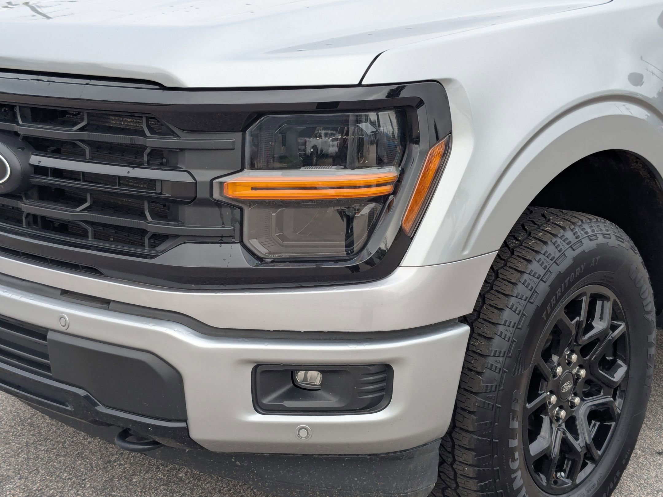 2024 Ford F-150 XLT photo 2