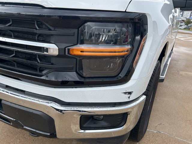 Used 2025 Ford F-150 XLT Truck